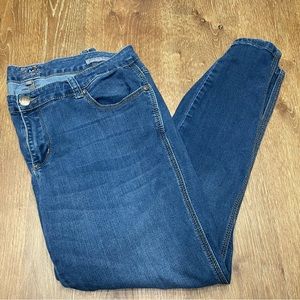 Melissa McCarthy Plus Size Skinny Jeans